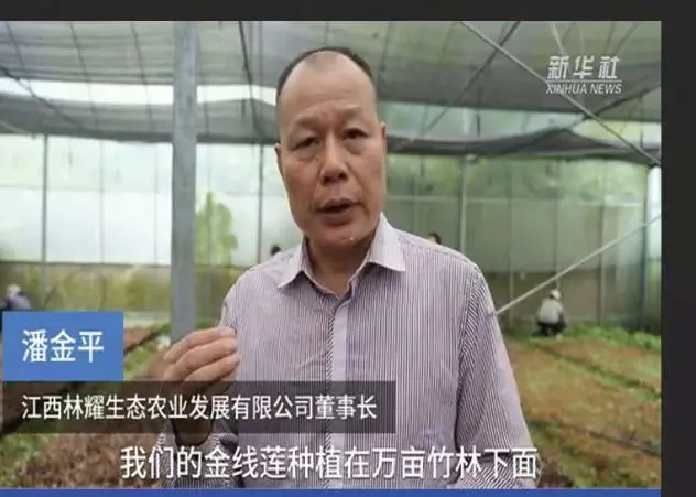 ທ່ານ Pan Jinping ປະທານ​ບໍ​ລິ​ສັດ​ພັດ​ທະ​ນາ​ກະ​ສິ​ກຳ​ນິ​ເວດ Jiangxi Linyao ຈຳ​ກັດ​ໃຫ້​ສຳ​ພາດ​ໂດຍ​ສຳ​ນັກ​ຂ່າວ​ຊິນ​ຮວາ.